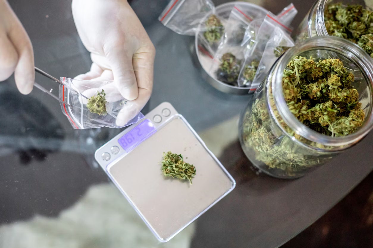 Travelling With Medical Cannabis | My Honest Experience & Best Tips